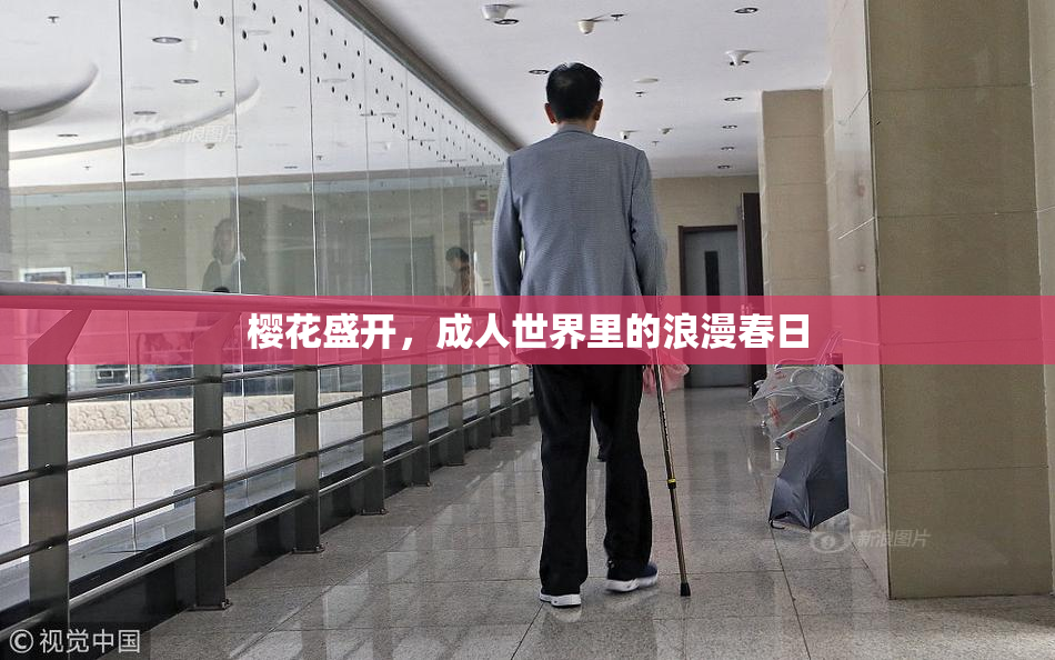 樱花盛开，成人世界里的浪漫春日