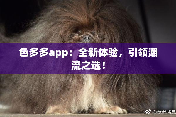 色多多app：全新体验，引领潮流之选！
