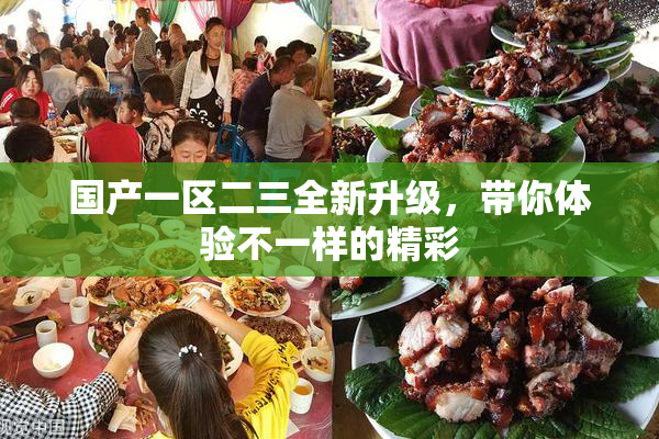 国产一区二三全新升级，带你体验不一样的精彩