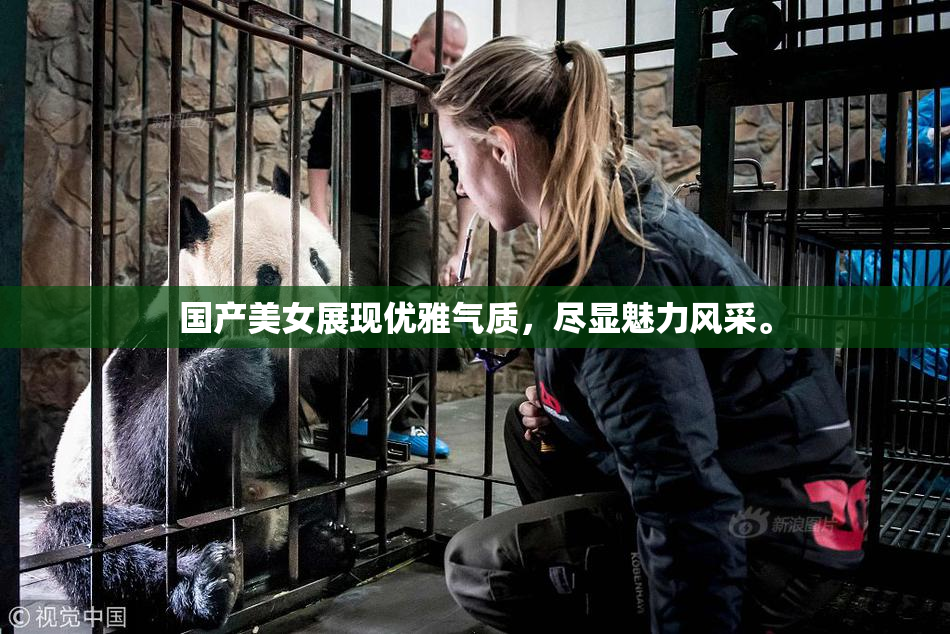 国产美女展现优雅气质，尽显魅力风采。