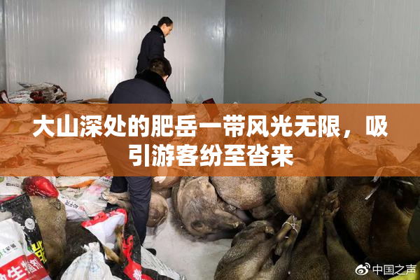 大山深处的肥岳一带风光无限，吸引游客纷至沓来
