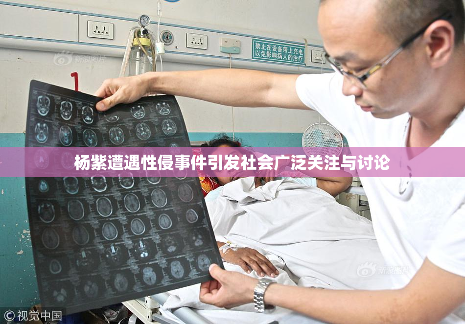 杨紫遭遇性侵事件引发社会广泛关注与讨论