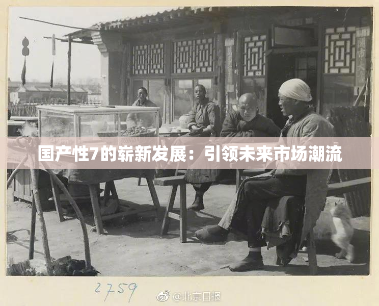 国产性7的崭新发展：引领未来市场潮流