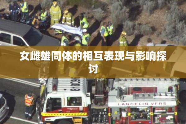 女雌雄同体的相互表现与影响探讨