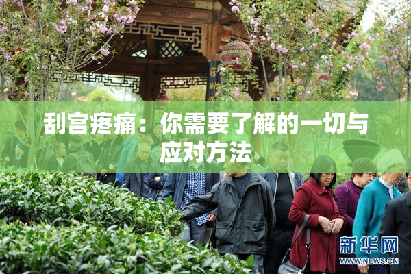 刮宫疼痛：你需要了解的一切与应对方法