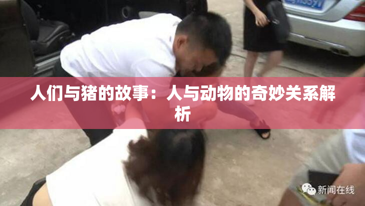 人们与猪的故事：人与动物的奇妙关系解析