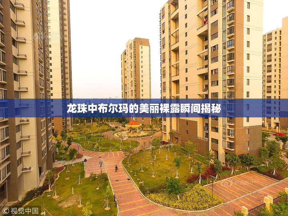 龙珠中布尔玛的美丽裸露瞬间揭秘