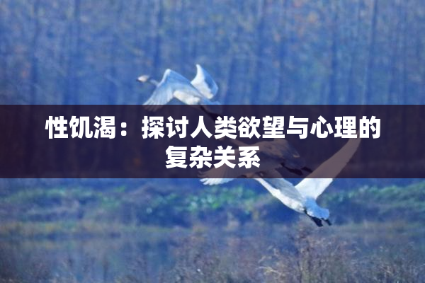 性饥渴：探讨人类欲望与心理的复杂关系