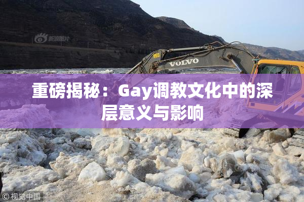 重磅揭秘：Gay调教文化中的深层意义与影响