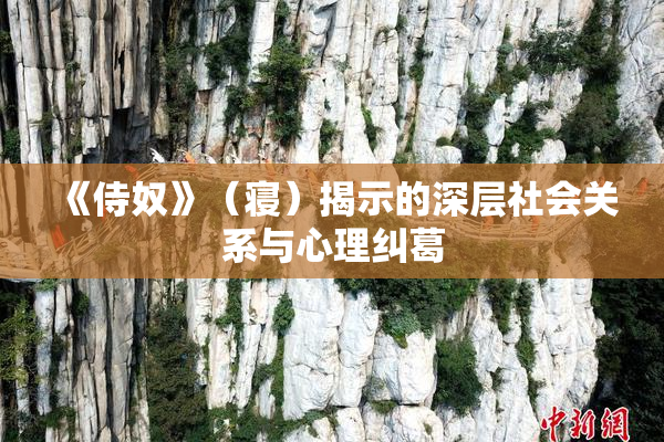《侍奴》（寝）揭示的深层社会关系与心理纠葛