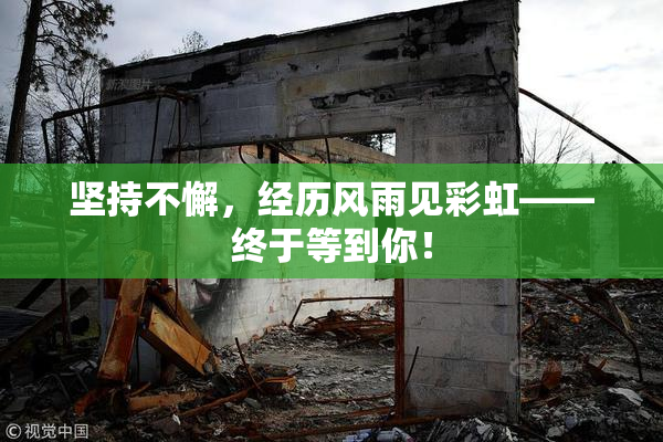 坚持不懈，经历风雨见彩虹——终于等到你！