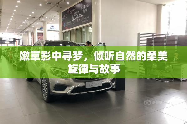 嫩草影中寻梦，倾听自然的柔美旋律与故事