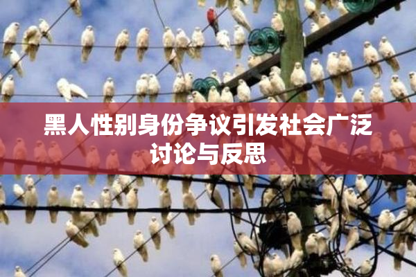黑人性别身份争议引发社会广泛讨论与反思