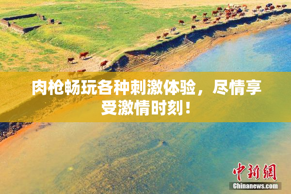 肉枪畅玩各种刺激体验，尽情享受激情时刻！