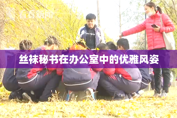 丝袜秘书在办公室中的优雅风姿