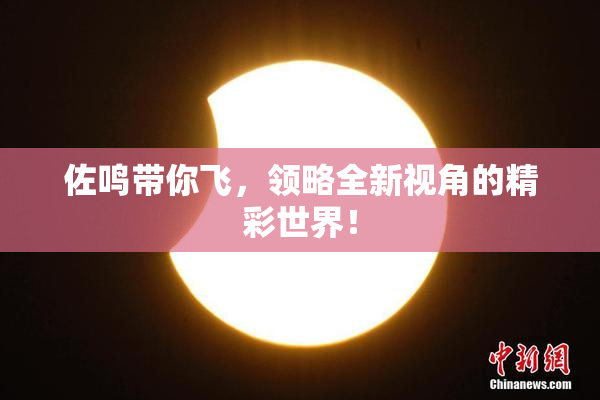 佐鸣带你飞，领略全新视角的精彩世界！