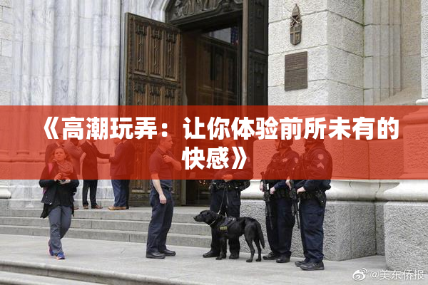 《高潮玩弄：让你体验前所未有的快感》