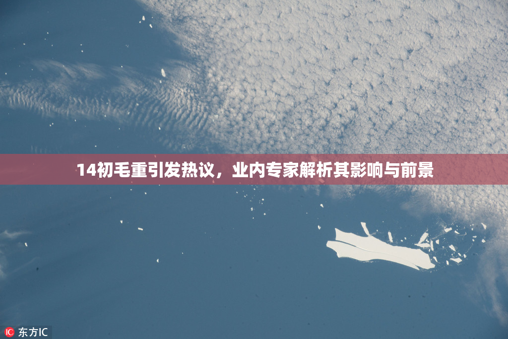 14初毛重引发热议，业内专家解析其影响与前景