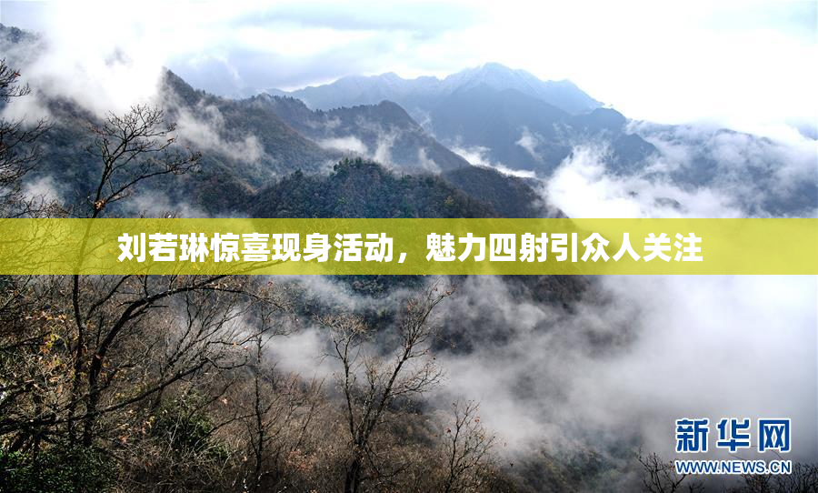 刘若琳惊喜现身活动，魅力四射引众人关注
