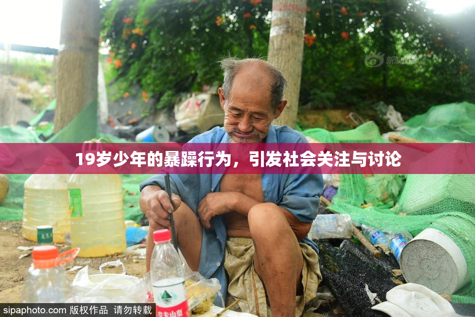 19岁少年的暴躁行为，引发社会关注与讨论