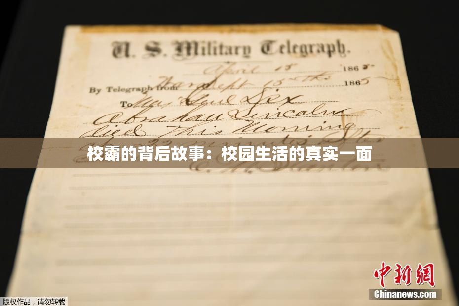 校霸的背后故事：校园生活的真实一面