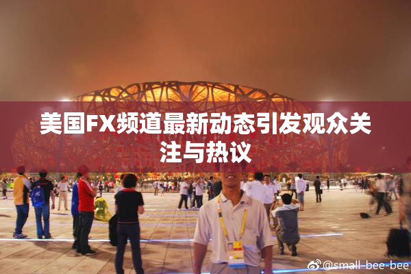 美国FX频道最新动态引发观众关注与热议