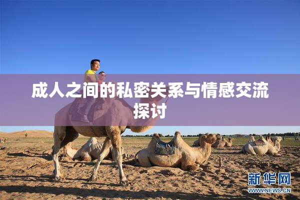 成人之间的私密关系与情感交流探讨