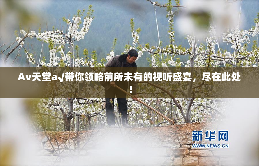 Av天堂a√带你领略前所未有的视听盛宴，尽在此处！