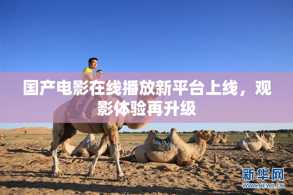 国产电影在线播放新平台上线，观影体验再升级