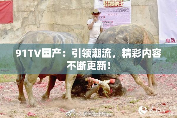 91TV国产：引领潮流，精彩内容不断更新！
