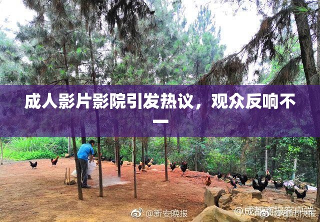 成人影片影院引发热议，观众反响不一