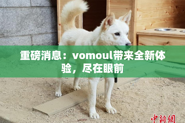 重磅消息：vomoul带来全新体验，尽在眼前