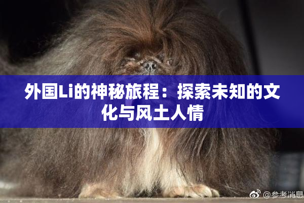 外国Li的神秘旅程：探索未知的文化与风土人情