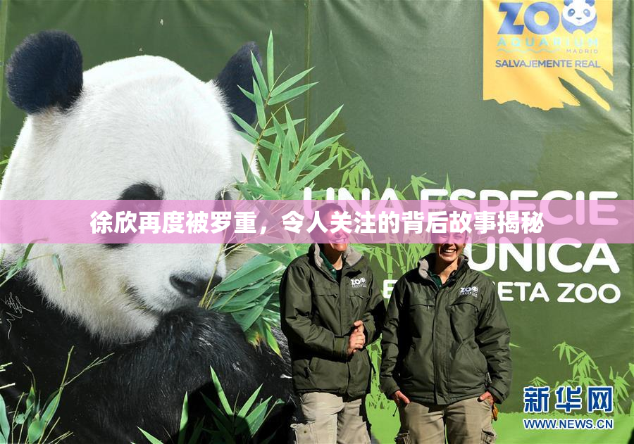 徐欣再度被罗重，令人关注的背后故事揭秘