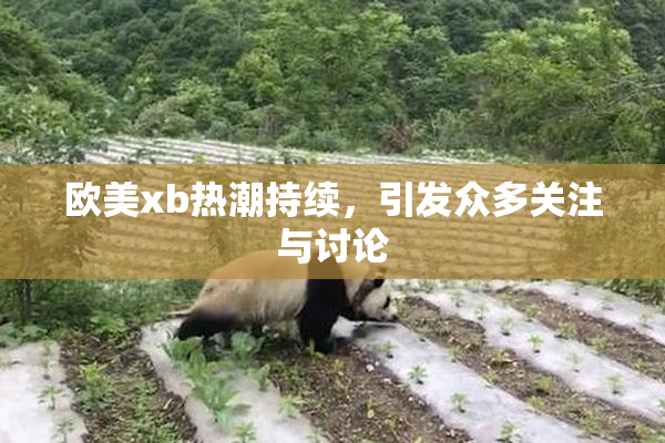 欧美xb热潮持续，引发众多关注与讨论