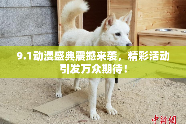 9.1动漫盛典震撼来袭，精彩活动引发万众期待！