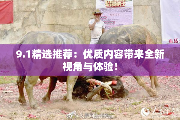 9.1精选推荐：优质内容带来全新视角与体验！