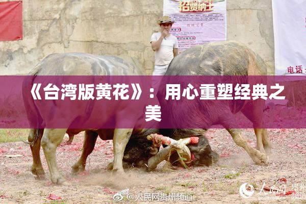 《台湾版黄花》：用心重塑经典之美