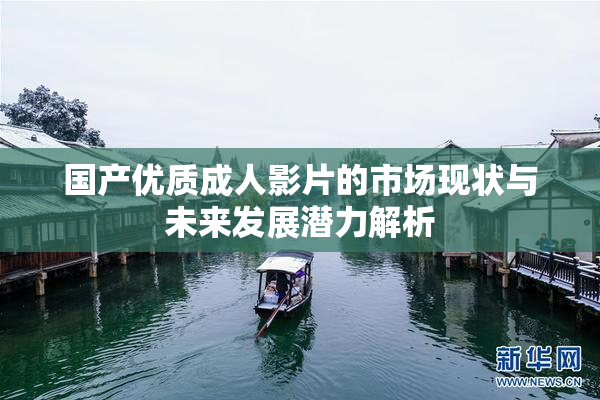 国产优质成人影片的市场现状与未来发展潜力解析