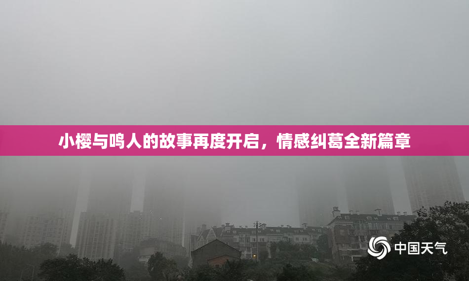 小樱与鸣人的故事再度开启，情感纠葛全新篇章