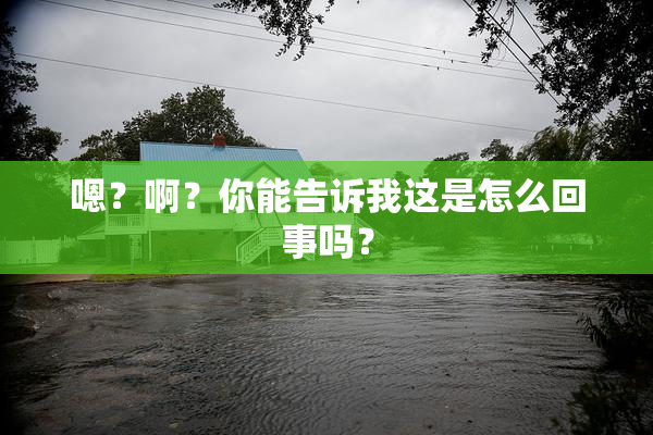 嗯？啊？你能告诉我这是怎么回事吗？