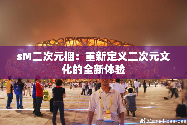 sM二次元捆：重新定义二次元文化的全新体验