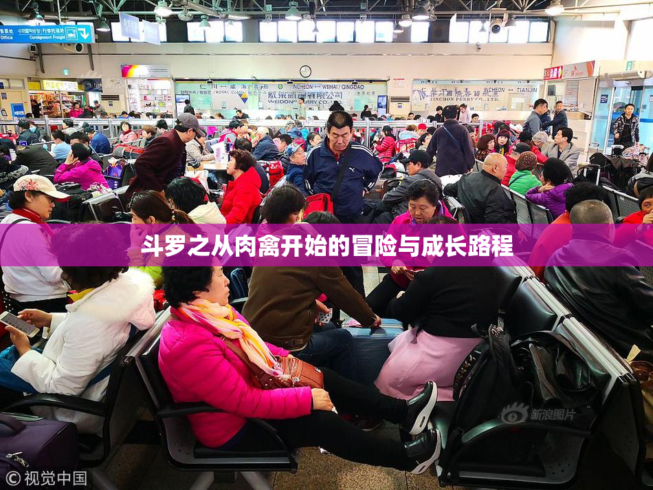斗罗之从肉禽开始的冒险与成长路程
