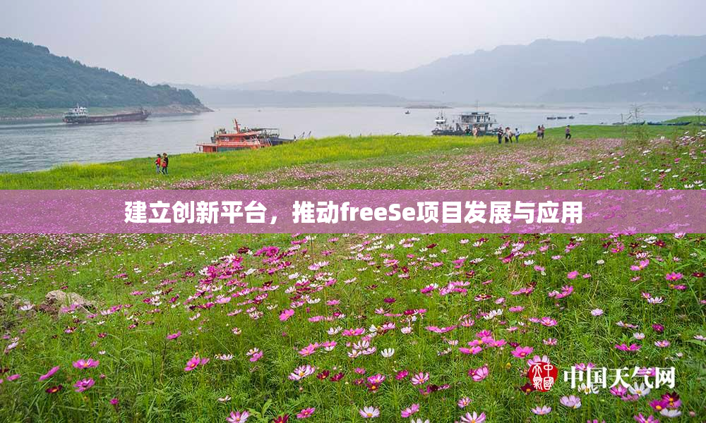 建立创新平台，推动freeSe项目发展与应用