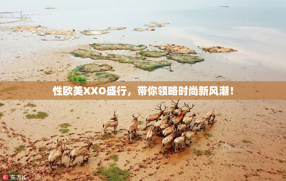 性欧美XXO盛行，带你领略时尚新风潮！
