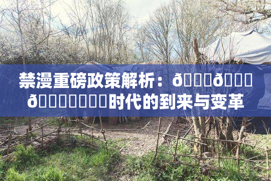 禁漫重磅政策解析：🍆🍑🔞❌‌❌‌时代的到来与变革
