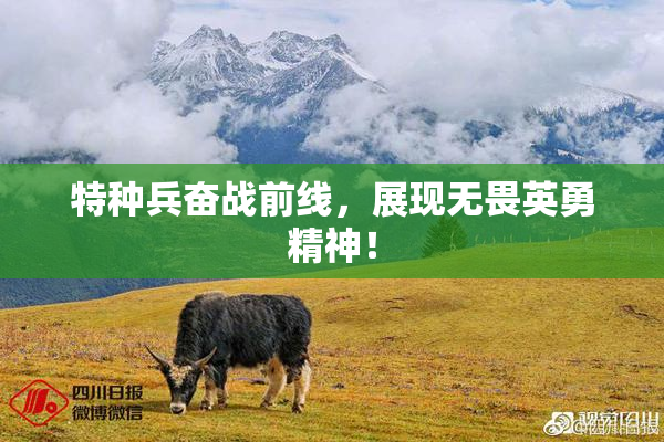 特种兵奋战前线，展现无畏英勇精神！