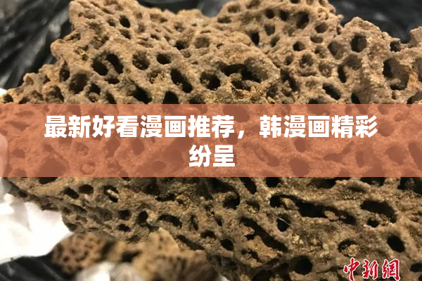 最新好看漫画推荐，韩漫画精彩纷呈