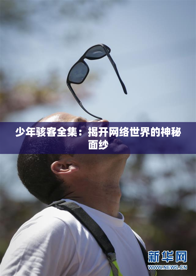 少年骇客全集：揭开网络世界的神秘面纱