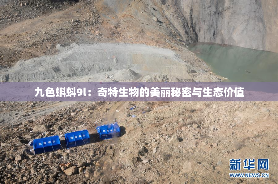 九色蝌蚪9l：奇特生物的美丽秘密与生态价值